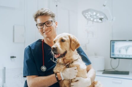 Tipy, jak si najít veterináře „Dr. Dolittla“